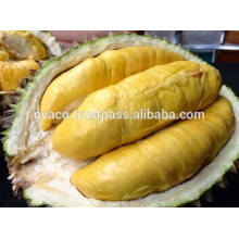 FRESH DURIAN HIGH QUALITY - BEST PRICE FROM VIETNAM 2017